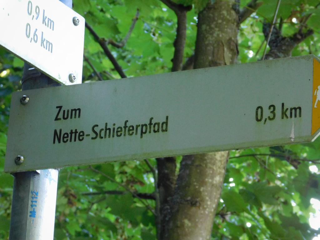 Ferienwohnung Schmitz Welling Exteriör bild